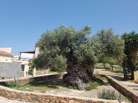 Villa Margarita'S Farm, Private Pool Maláthiros 外观 照片