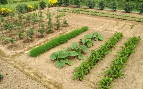 Villa Margarita'S Farm, Private Pool Maláthiros 外观 照片